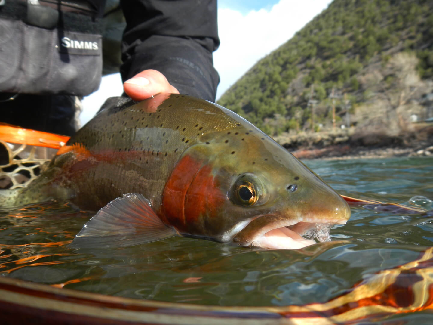 Fly Fishing Trips by Aspen Trout Guides