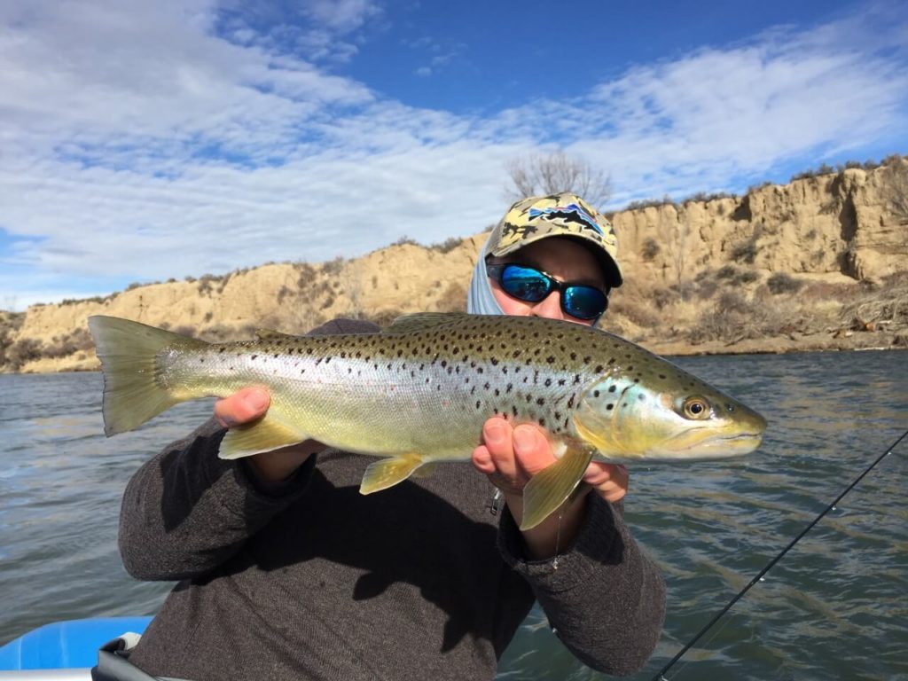 Glenwood Springs Fly Fishing Shop & Guided Trips Hookers